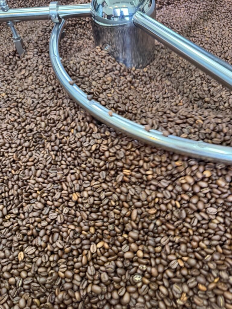 いだきしん焙煎・リム 100g豆（3/25焙煎） - Andromeda Ethiopia Coffee Online shop