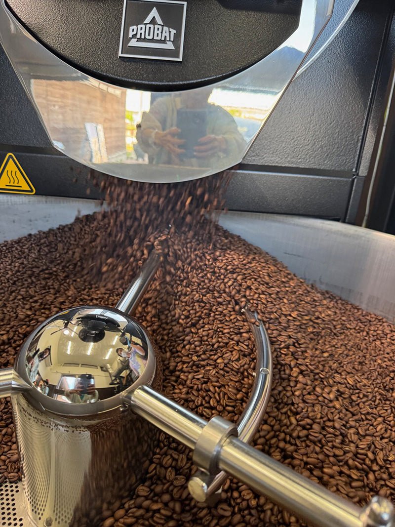 いだきしん特別焙煎コーヒー／魂　200g豆(7/21焙煎) - Andromeda Ethiopia Coffee Online shop