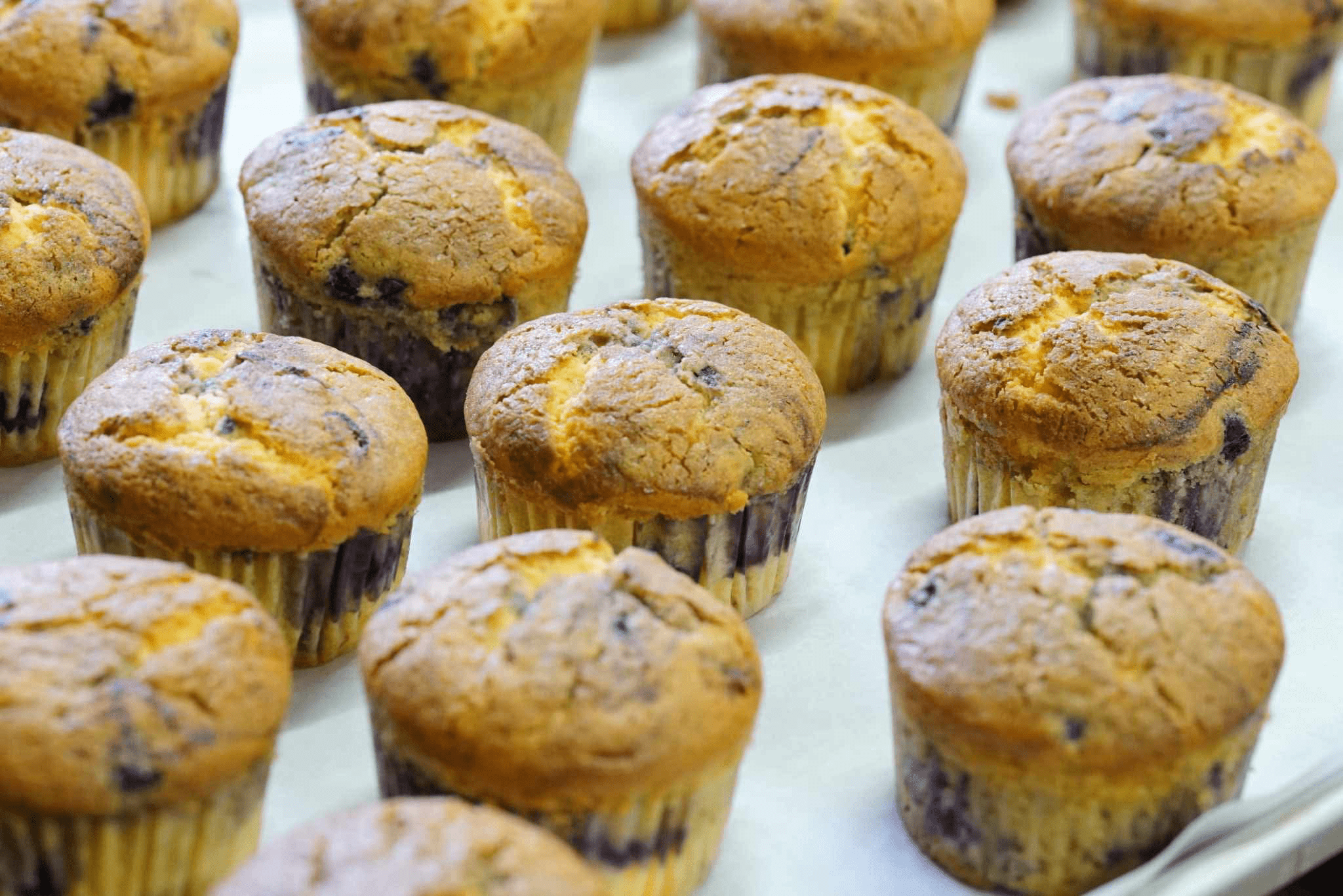 ブルーベリーとクリームチーズのマフィン（グルテンフリー） - Andromeda Ethiopia Coffee Online shop