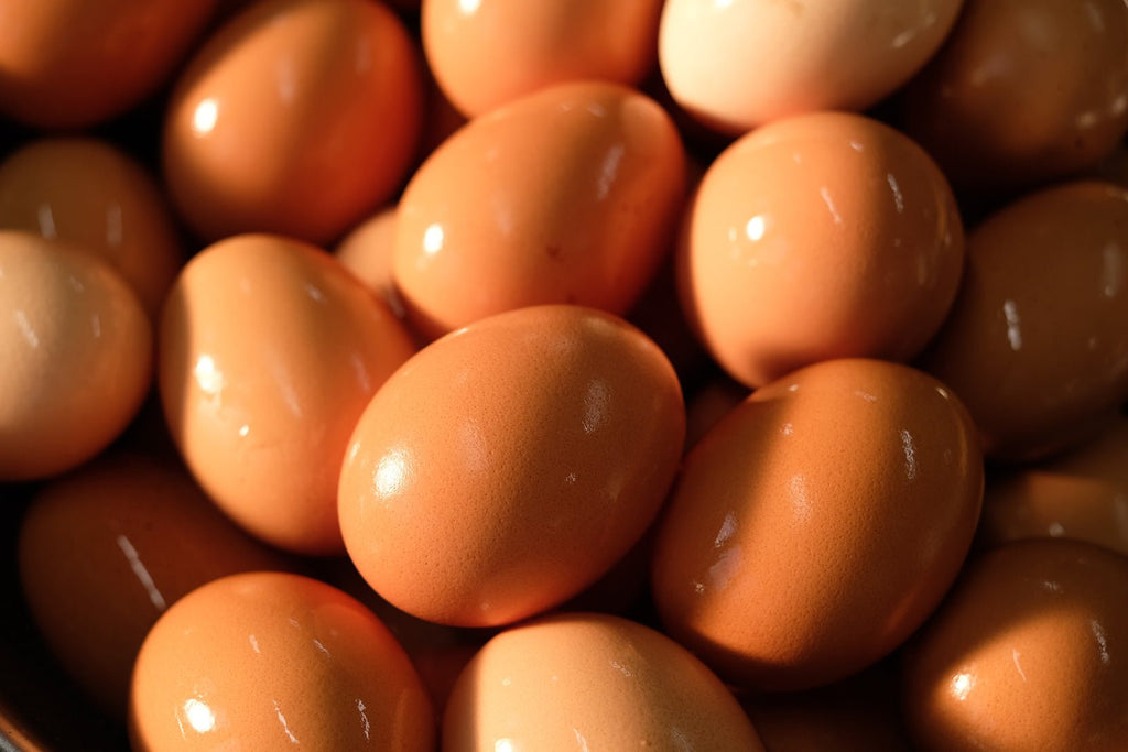 平飼い卵のシフォンケーキ（グルテンフリー） - Andromeda Ethiopia Coffee Online shop