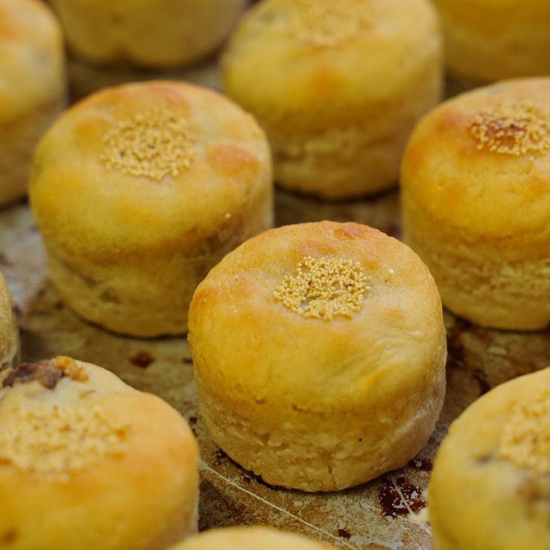 自家製あんぱん（グルテンフリー） - Andromeda Ethiopia Coffee Online shop